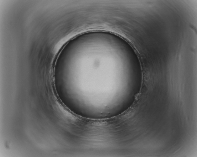 X0000101681519200807171400