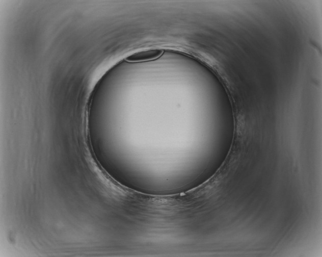 X0000101681520200807171400