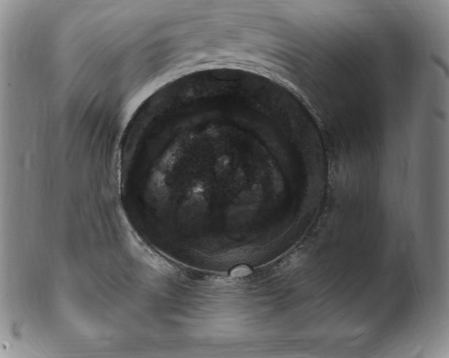 X0000101681522200807171400