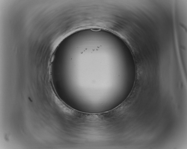 X0000101681524200807171400