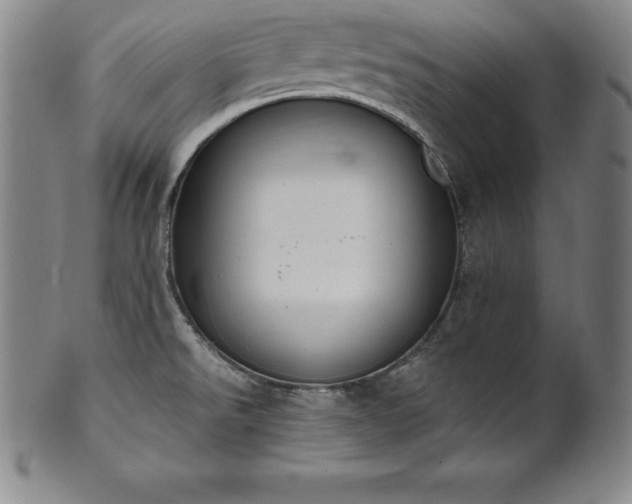 X0000101681526200807171400