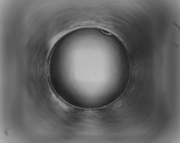 X0000101681527200807171400