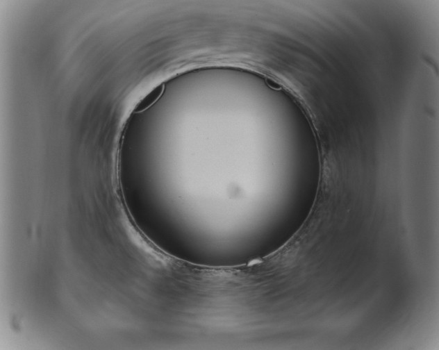 X0000101681528200807171400