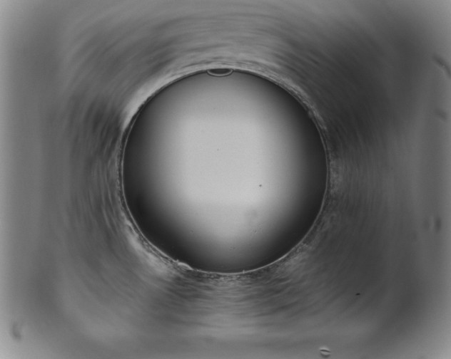 X0000101681530200807171400