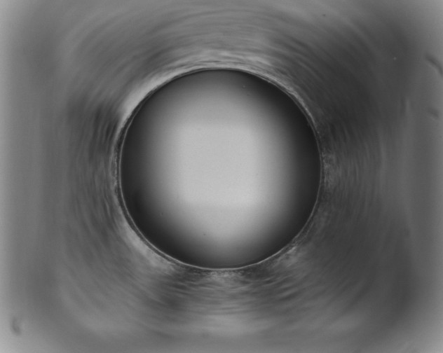 X0000101681531200807171400