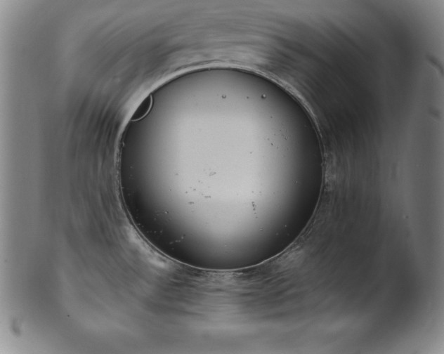 X0000101681532200807171400