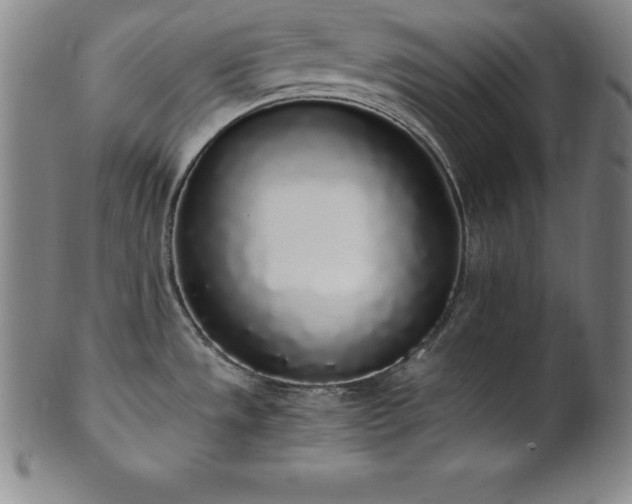 X0000101681533200807171400