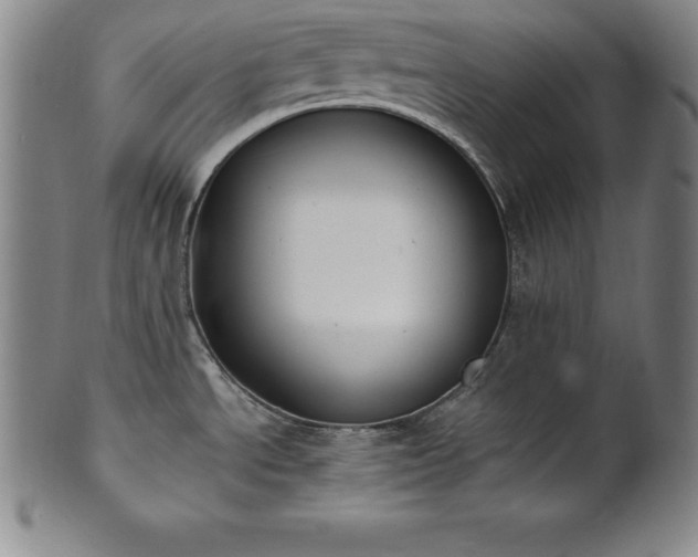 X0000101681534200807171400