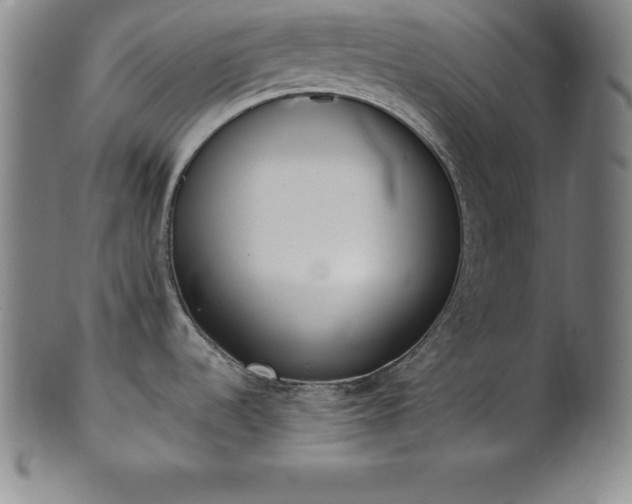 X0000101681536200807171400