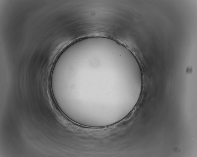 X0000101680001200807241357