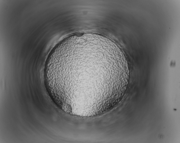 X0000101680002200807241357