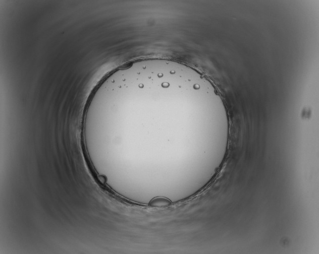 X0000101680003200807241357