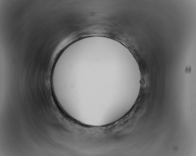 X0000101680004200807241357