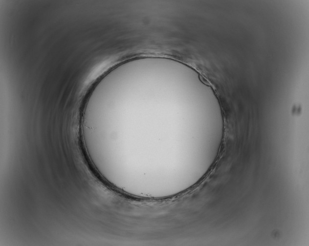 X0000101680005200807241357