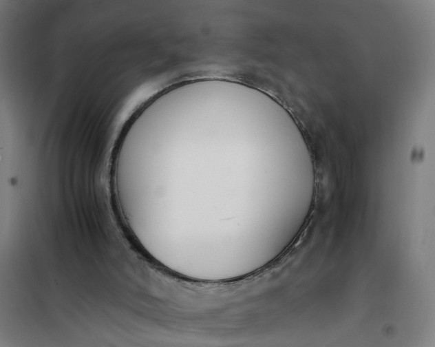 X0000101680006200807241357