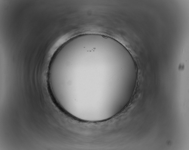 X0000101680007200807241357