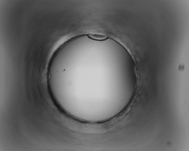 X0000101680008200807241357