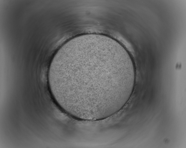 X0000101680009200807241357