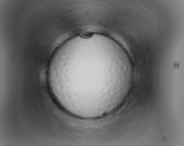 X0000101680010200807241357