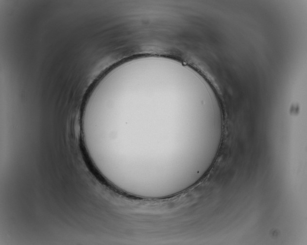 X0000101680011200807241356