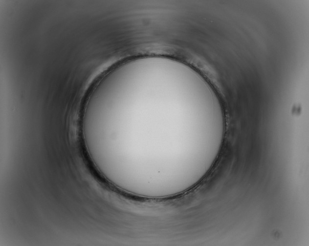 X0000101680012200807241356