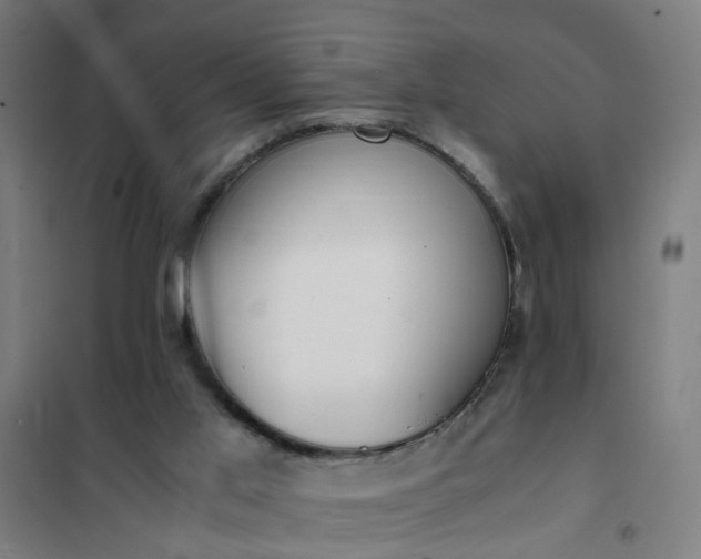 X0000101680013200807241356