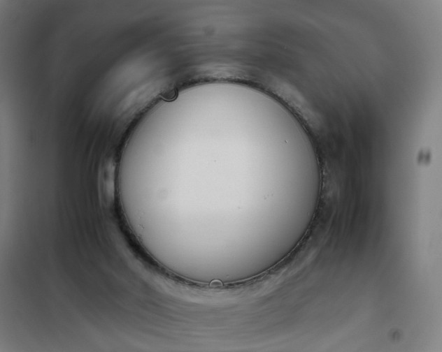 X0000101680014200807241356