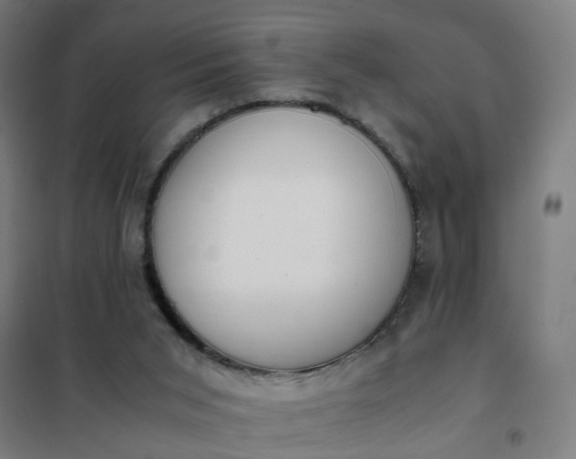 X0000101680015200807241356