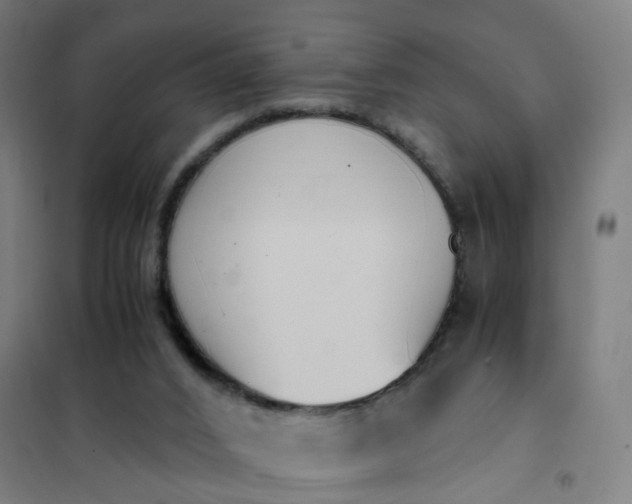 X0000101680016200807241356