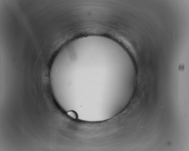 X0000101680017200807241356