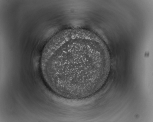 X0000101680018200807241356