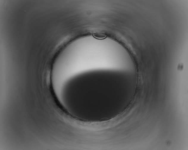 X0000101680019200807241356