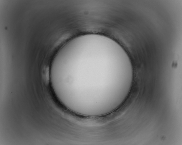 X0000101680020200807241356