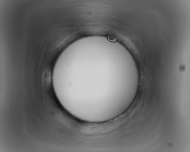 X0000101680021200807241356