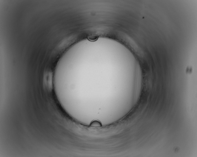 X0000101680022200807241356