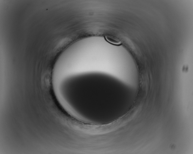 X0000101680023200807241356