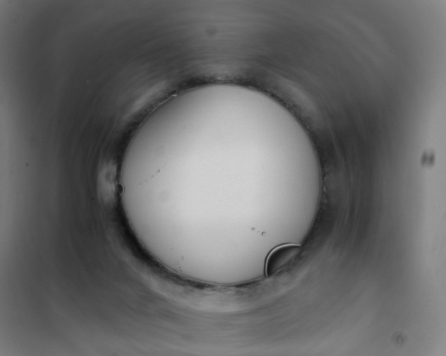 X0000101680024200807241356