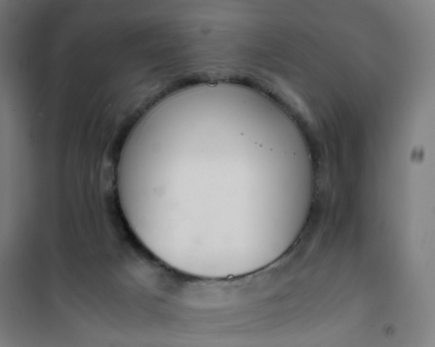 X0000101680025200807241356