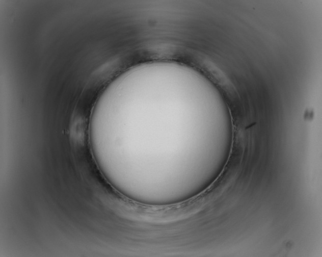 X0000101680026200807241356