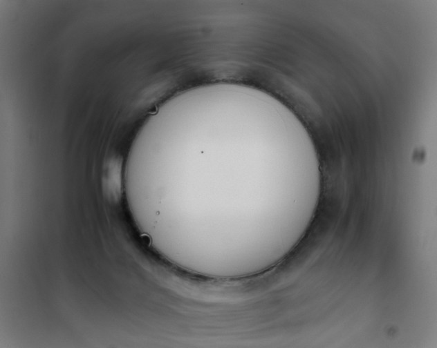 X0000101680028200807241356