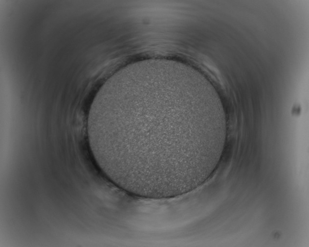 X0000101680029200807241356