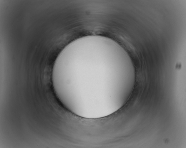 X0000101680030200807241356