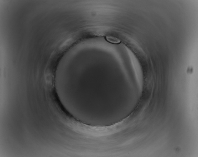 X0000101680031200807241356