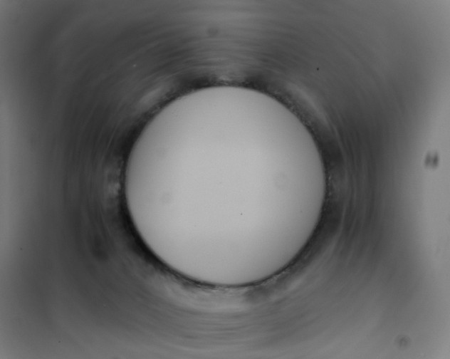 X0000101680032200807241356