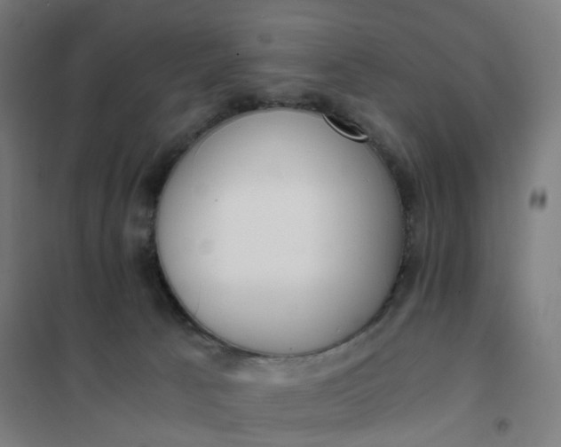 X0000101680033200807241356