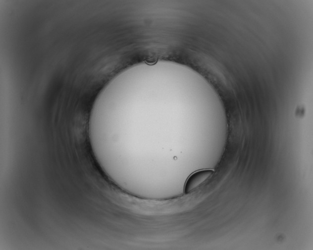 X0000101680034200807241356