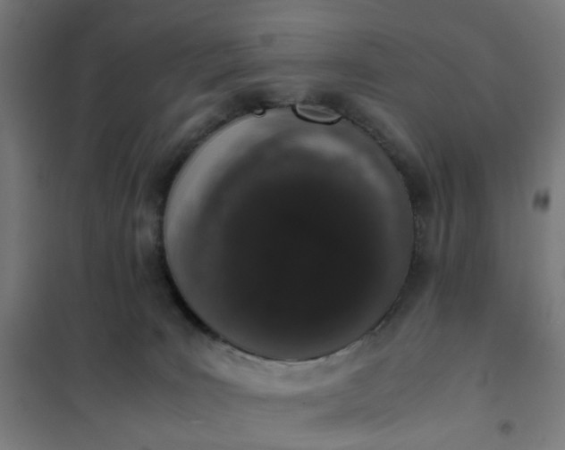 X0000101680035200807241356