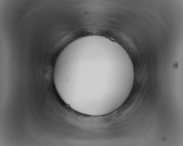 X0000101680036200807241356