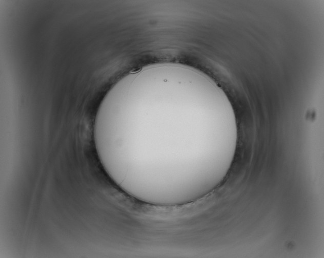 X0000101680037200807241356