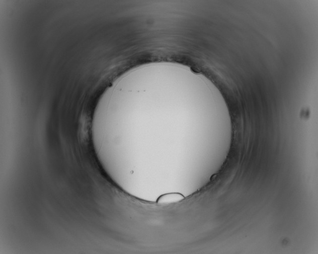 X0000101680038200807241356